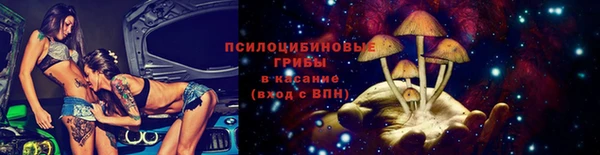 дурь Алексин